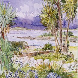 Greetings Card "Agapanthus Thomas Porth" Agapanthus Thomas Porth, Isles of scilly