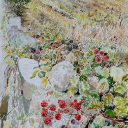 "Blackberries Peninnis", St Marys, Isles of Scilly