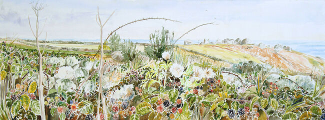 "Bramble Hedge, Penninis, St Marys, Isles of Scilly