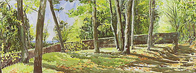 "Garrison Elms on a September Morning", St Marys, Isles of Scilly