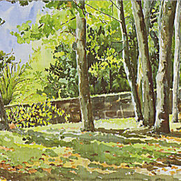 Greetings Card "Garrison Elms on a September Morning" St Marys, Isles of Scilly "Garrison Elms on a September Morning", St Marys, Isles of Scilly