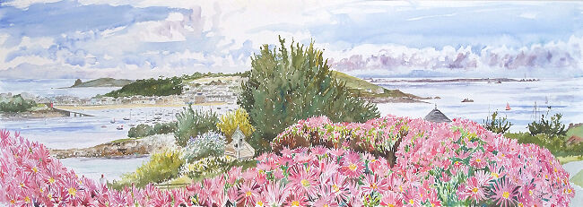 "Moyana Mesembryanthemums", Porthloo, St Marys, Isles of Scilly