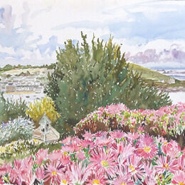 Greetings Card "Moyana Mesembryanthemums", Porthloo, St Marys, Isles of Scilly "Moyana Mesembryanthemums", Porthloo, St Marys, Isles of Scilly