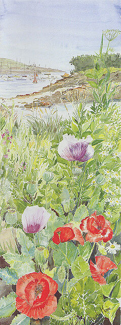 "Porthloo Poppies" St Marys, Isles of Scilly