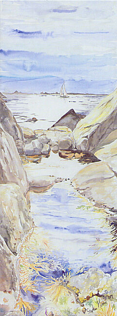 Rock Pool Reflections. St Marys, Isles of Scilly
