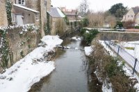 DSC 1052