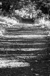 DSC 1195