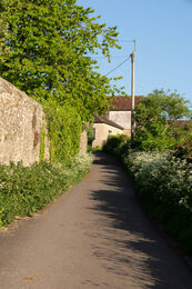 DSC 1099