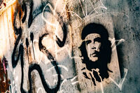 DSC 1110