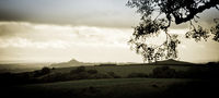 Over the Fields to Glastonbury Tor