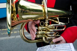 Brass Band #3 - instrument close-up