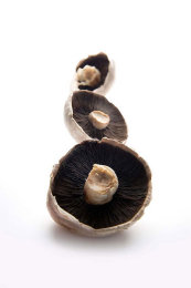 Stylised Food Photography: Mushrooms