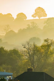 Autumn Morning, Bruton