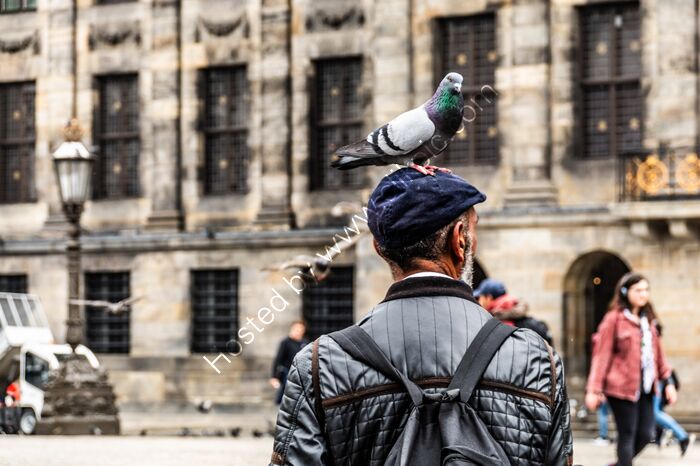 Pigeon Man, Amsterdam