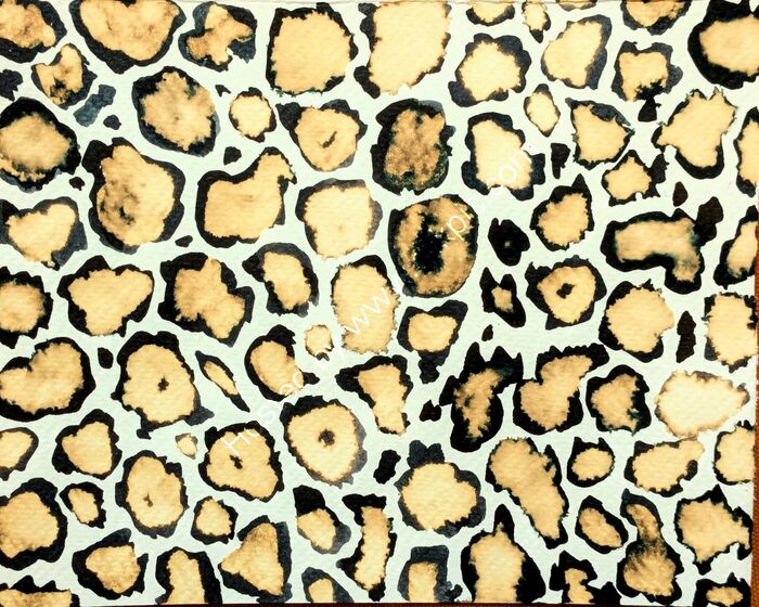 Untitled ink study 3 2025