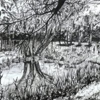 The newt pond (Calderstones Park)