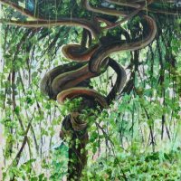Calderstones Park, The python tree, Acrylic on canvas. 50cm x 70cm