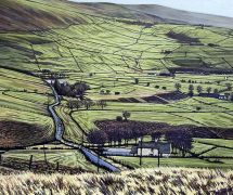 Brun Lane, Diggle (b)