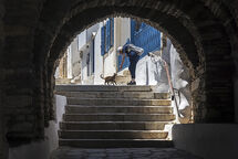 Cat petting in Kardiani Village, Tinos.