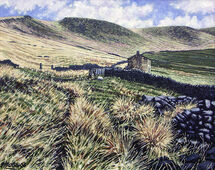 Derelict Farmhouse 2006