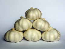 Garlic Bulbs