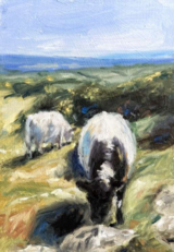 Cows grazing Trencrom Hill 19x 26cm inc. frame £395