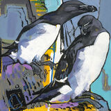 Daniel Cole SWLA - Razorbills - Oil on board - 19x19cm £400