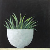 Plant in a white bowl 36x36cm. inc frame £280