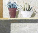 Sarahs-Plants-on-shelf-21x25 exc frame £425
