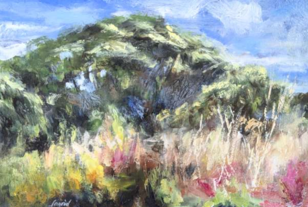 Summer Moor Zennor 26x 35cm inc. frame £450