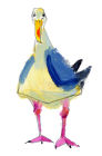 "silly gull