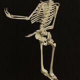 load 4 ink on canvas 125cm x 190cm