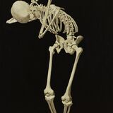 load 1 ink on canvas 120cm x 190cm