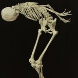 load 2 ink on canvas 125cm x 185cm