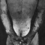 Back 2 charcoal on paper 83x152cm