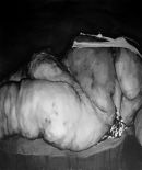 body 1 charcoal and ink on paper 48x57inches