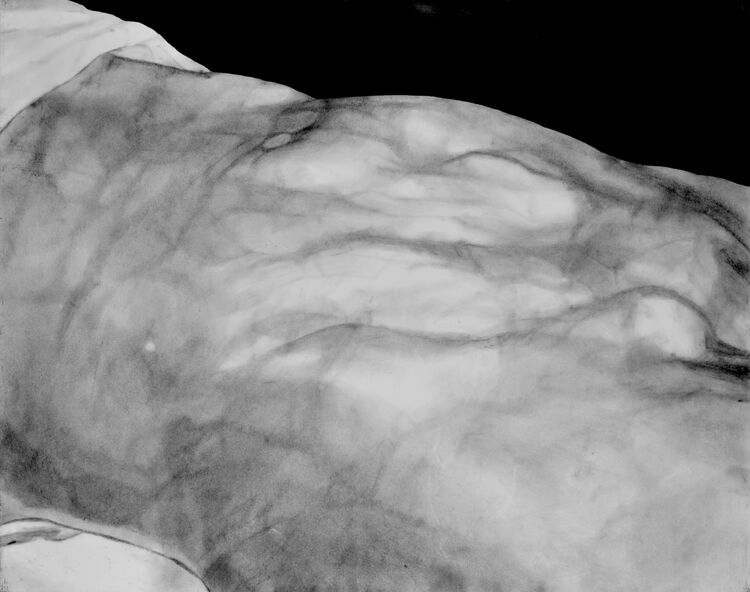 Torso 1 charcoal and ink on paper 120x152cm