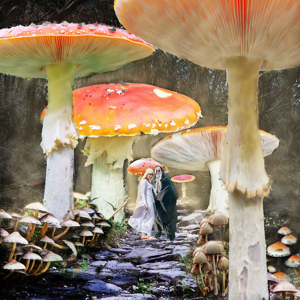 Away With The Fairies