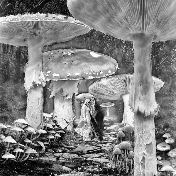 Away with the fairies