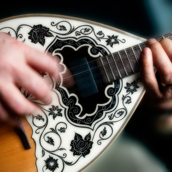 Bouzouki Fingers
