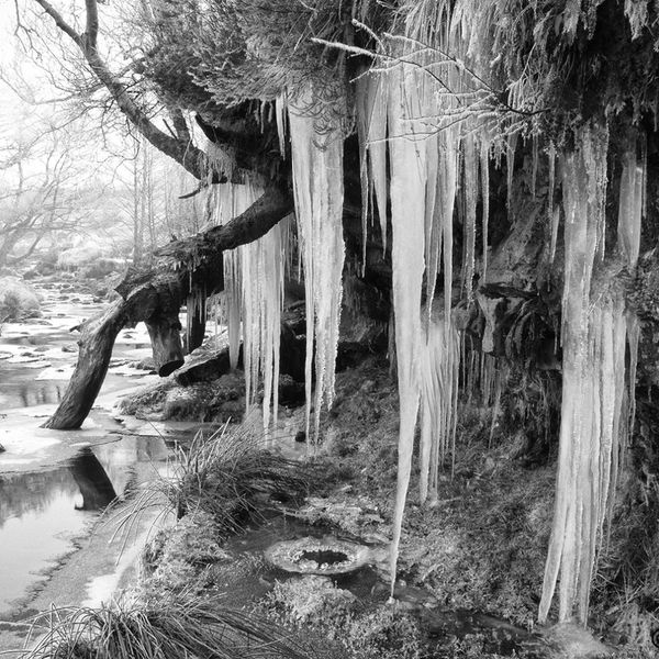 Ellerbeck Icicles