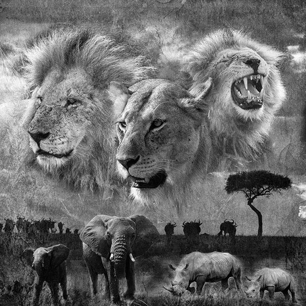 Mara Royalty