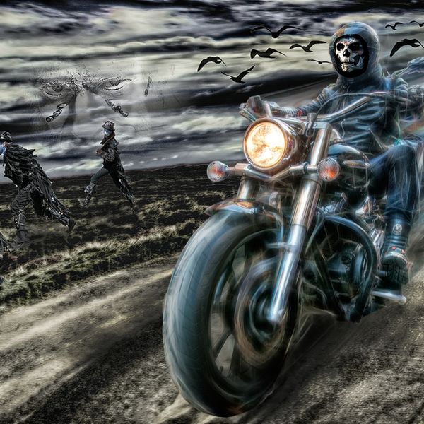 Night Rider