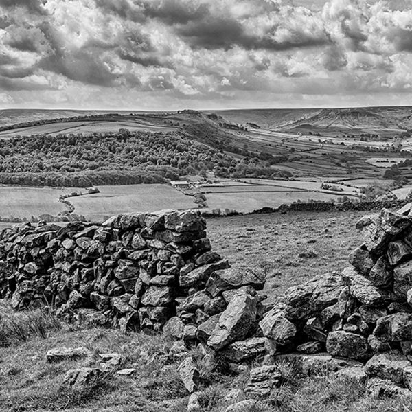 Oakley Walls