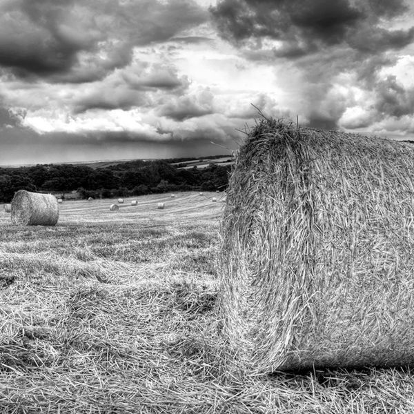 Stormy Corn Bales