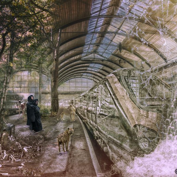 The Last Train