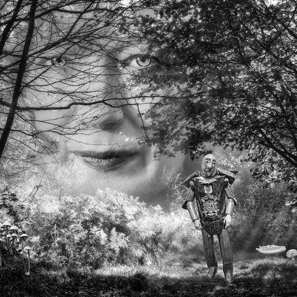 Woodman's Walk