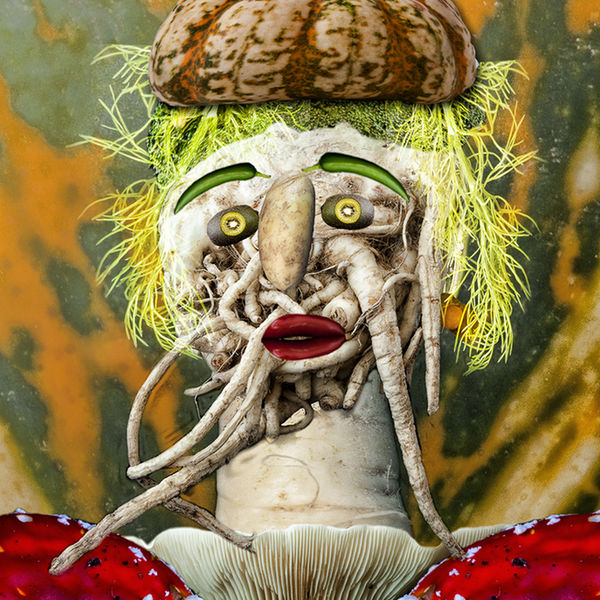 You Are What You Eat
