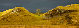 Sycamore Gap, Hadrian's Wall