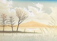 Winter on the Levels